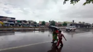 Heavy rains lash Gujarat, IMD predicts more showers on Saturday: The wider industry impact