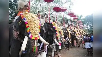 Kerala HC to consider plaints on damage to Vadakkumnathan temple structure due to Thrissur Pooram