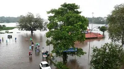 Kochi: While forecasting light to moderate rain in the coming days: The wider industry impact