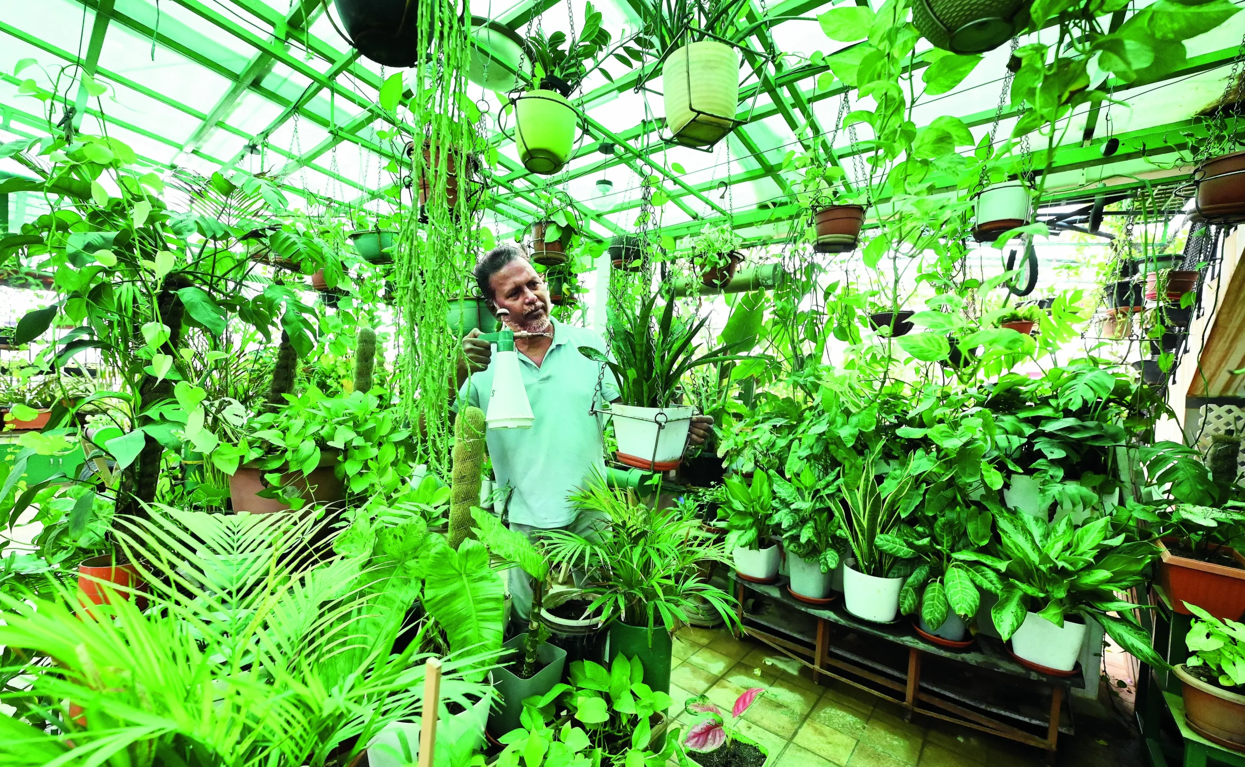 Chennai's constant gardener: The wider industry impact