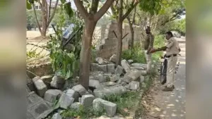 A morning walker was killed by a wild elephant at Anchepalya, behind Rajarajeshwari Hospital