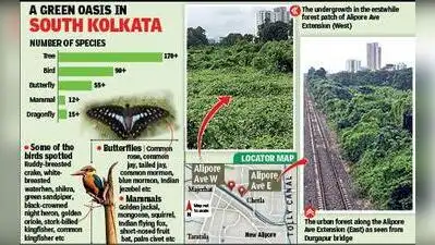 Arjan Basu Roy of Nature Mates Nature Club said that Chetla forest: The wider industry impact