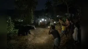 A bear strayed into a village near Nenmara | AI image: The wider industry impact
