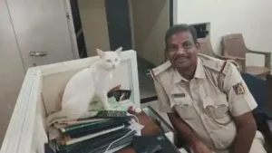 Feline officer reporting to duty at the Chikkaballapura rural police station