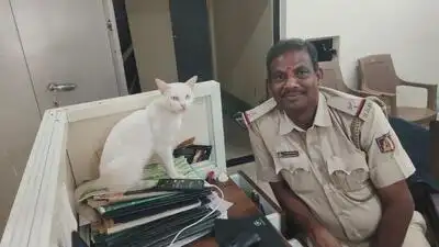 Feline officer reporting to duty at the Chikkaballapura rural police station