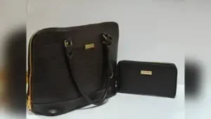 Scientists at CSIR-Central Leather Research Institute (CLRI): The wider industry impact