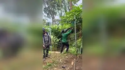 I dukki: The forest department has begun removing illegal fencing erected in the Chinnakanal