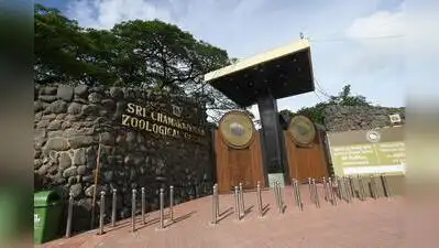 Mysuru: With Mysuru Dasara just days away, Mysuru Zoo has stepped up preparations to strengthen