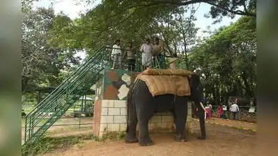 Deputy conservator of forests (wildlife) Prasanna Krishna Patgar visited Sakrebailu Elephant