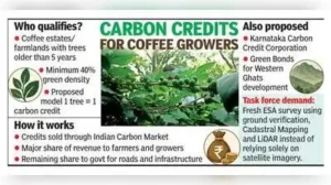Western Ghats panel seeks carbon credit corporation for coffee: The wider industry impact