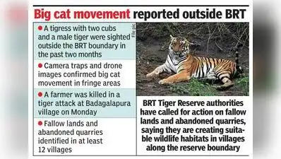 BRT reserve flags fallow lands as tiger habitat risk, seeks DC intervention