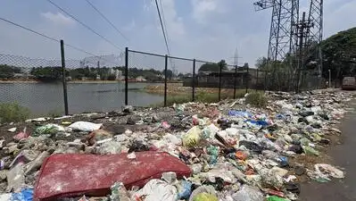 Under the proposal, waste wardens will be trained to educate people on waste segregation & help