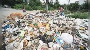 Bengaluru Solid Waste Management Ltd (BSWML) had proposed 33 packages to expand garbage