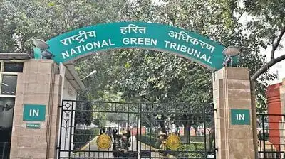 123 Paharganj hotels confronts borewell sealing for ignoring water: The wider industry impact
