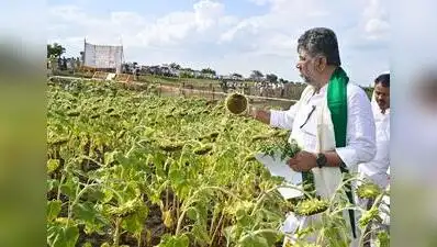 Karnataka may nearly double its drought-hit taluks from 101: The wider industry impact