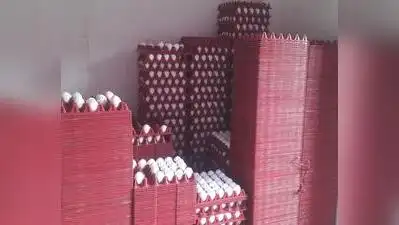 Egg prices, which had risen to Rs 8 per egg, have now dropped: The wider industry impact