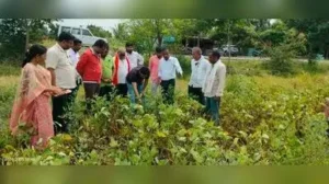 Nanded district administration on Sunday inspected Kharif crops: The wider industry impact