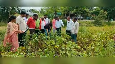 Nanded district administration on Sunday inspected Kharif crops: The wider industry impact
