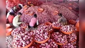 Delayed kharif crop fuels onion price surge: The wider industry impact