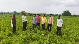 Agri university's interventions boost crop yields by up to 48% in 3: The wider industry impact