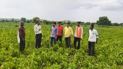 Agri university's interventions boost crop yields by up to 48% in 3: The wider industry impact