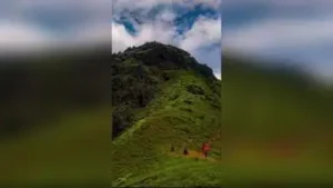 The forest department has decided to rope in locals to ensure the safety of trekkers visiting
