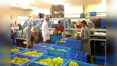 They pointed out that air cargo handling and related charges at Nashik Airport are