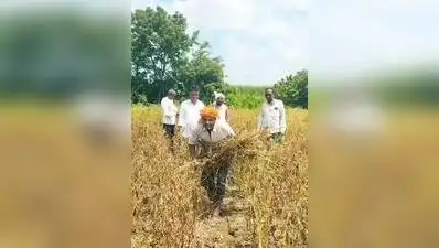 “receives even 1 kg soybean from my 1.5 acres, I’ll give a quintal: The wider industry impact