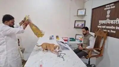 Nashik : After years of complaints to the Niphad nagar panchayat about stray dogs terrorising