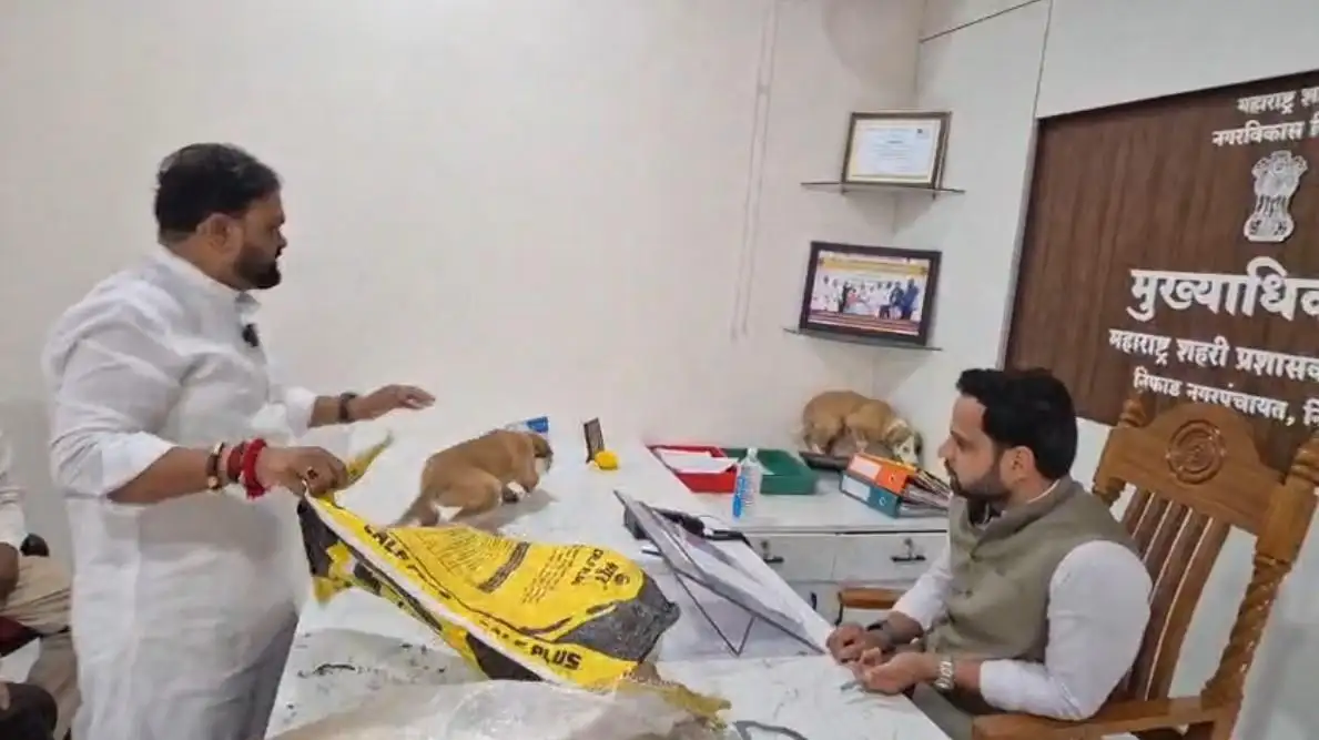 Nashik : After years of complaints to the Niphad nagar panchayat about stray dogs terrorising