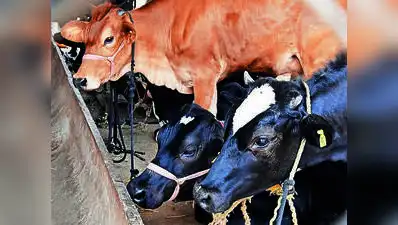 The union has set a turnover target of Rs 3,182.3 crore for 2026-27: The wider industry impact