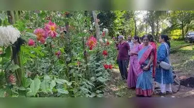 Women growers unite to put Malnad dahlias on the map: The wider industry impact