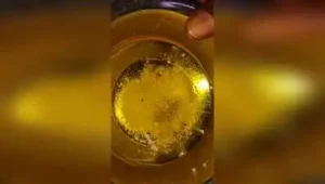 As much as 71 litres of used oil was found during the inspection