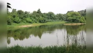 HC directs officials to make fountain at ECO park in Madurai functional