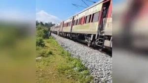 Hundreds stranded as tree blocks Talaguppa-Bengaluru train route