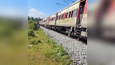 Hundreds stranded as tree blocks Talaguppa-Bengaluru train route