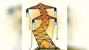Though it was publicised and administered as a free agricultural electricity connection scheme