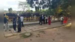 “Initially, tourists will be allowed to visit the camp for two hours daily, from 9.30am