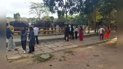 “Initially, tourists will be allowed to visit the camp for two hours daily, from 9.30am