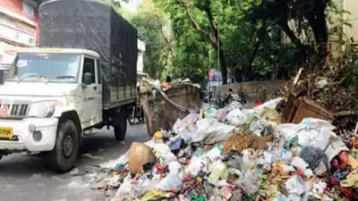 Mumbai's BMC collected over ninety lakh rupees in fines under new: The wider industry impact