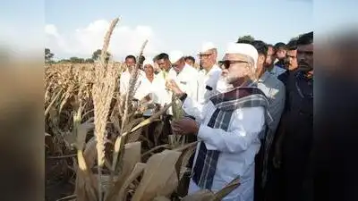 Nashik : Despite a severe dry spell in Niphad taluka, the region was excluded from the govt’s