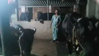 Sundari credited Puttur MLA Ashok Kumar Rai and former Kodimbadi: The wider industry impact