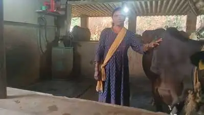 Sundari credited Puttur MLA Ashok Kumar Rai and former Kodimbadi: The wider industry impact