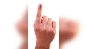 Even before the formal election process began, political activity in Pune division had