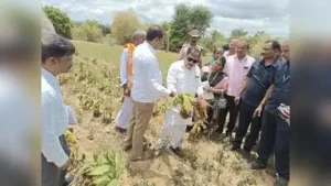 DCM G Parameshwara on Tuesday visited drought-hit areas in KR Nagar and Hunsur taluks in Mysuru