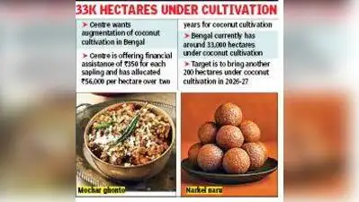 Kolkata: From narkel naru and puffed rice mixed with coconut: The wider industry impact