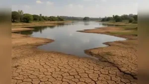 “Farmers should follow the principle of ‘water first, crop next': The wider industry impact