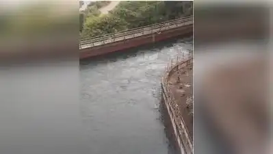 Water released from Bhadra reservoir at Gajanur in Shivamogga flows: The wider industry impact