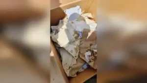 Land-related documents dumped in a dustbin on Nagamangala taluk office premises