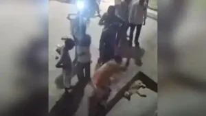 Kanpur: An FIR has been registered against a youth for allegedly beating a dog to death